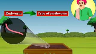 Vermicomposting | Macmillan Education India