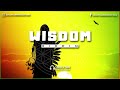 Wisdom riddim  free reggae instrumental beat 2023