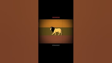 BIOMES AND THEIR FLAGS #flag #nature #history #edit #shorts