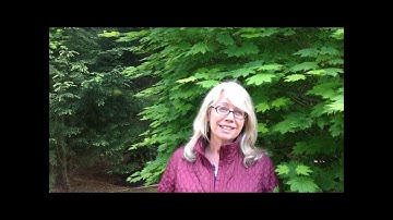 Matrix Reimprinting Training with Alina Frank and Craig Weiner