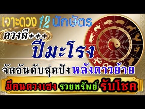 ดวงชะตาปีมะโรง 💰จุดเปลี่ยนหลังดาวย้าย 🏆1-30มิถุนายน67🏆💸💰🌺