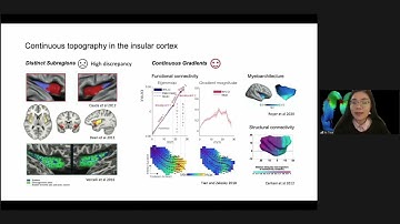 OHBM 2020 | Symposium | A tale of parcels & gradients: individual differences & behavioral ass…