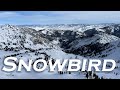 Skiing at Snowbird the Second Day POV | Gad2, Gadzoom, Little Cloud, Mineral Basin