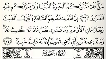#حلقات_البيان ياسر الدوسري - سورة لقمان مكرر من 28 إلى 34