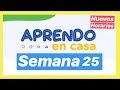 HORARIO SEMANA 25 🔴 TV PERU del 21 al 25 Septiembre APRENDO EN CASA - Inicial, Primaria, Secundaria
