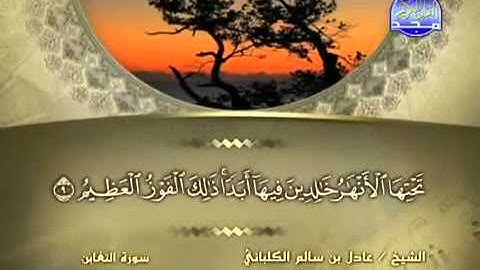 سورة التغابن الشيخ عادل الكلباني