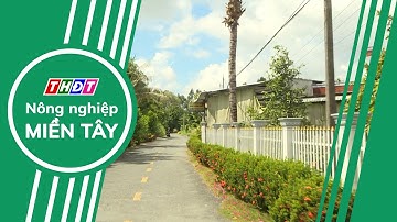 Toàn cảnh Nông nghiệp - 15/8/2024 | Nông nghiệp Miền Tây