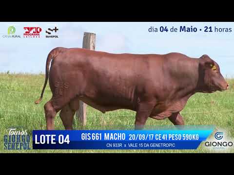 LOTE 04 GIS 660