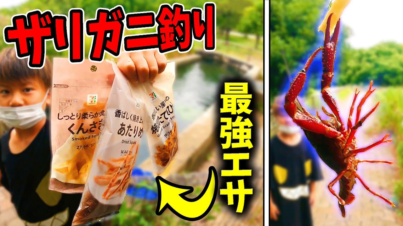 ザリガニ釣り コンビニで買った が釣れすぎてヤバい Youtube
