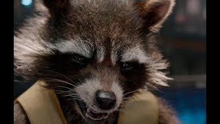 Guardians Of The Galaxy 1 - Rocket Best Moments