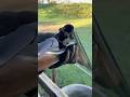 The Secret to the Beretta SL2: Steelium Pro X