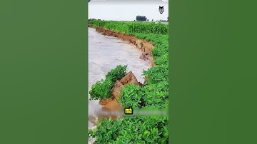 Giải Mã Hiện Tượng Tự Nhiên Khiến Đất Ven Sông Sụp Đổ!