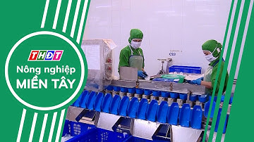 Ngành thủy sản đặt mục tiêu xuất khẩu 10,5 tỷ USD năm 2025 | Nông nghiệp Miền Tây