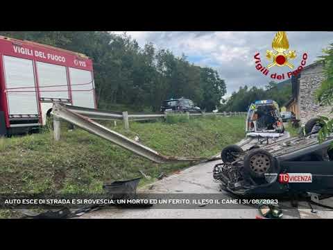 AUTO ESCE DI STRADA E SI ROVESCIA: UN MORTO ED UN FERITO, ILLESO IL CANE | 31/08/2023