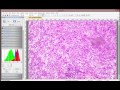 Microscope Camera Software - Getting Started Part 1