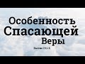 "Особенность Спасающей Веры" | Владимир Мицук