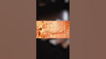 PyTorch и TensorFlow: отличия и сходства фреймворков