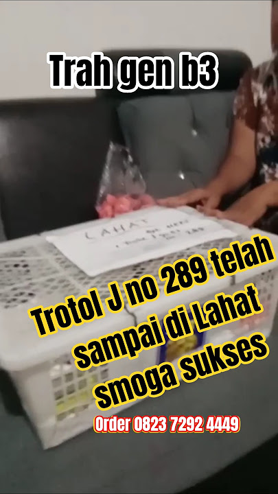 Trotol J no 289 trah gen b3 sudah sampai di Lahat‼️smoga sukses dan sehat