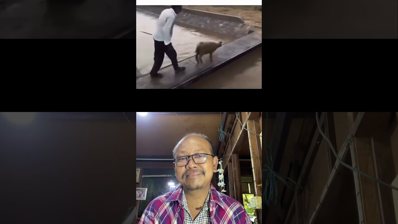 First One Memes Funny Animals Pets Youtube Extremesport Youtubeshorts Duet
