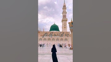سورة القَدر 🥺❤️. #shortvideo #viral #video #reels #viralvideo #islam