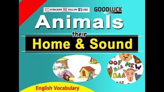 Animals Home And Their Sound with image || Goodluck Institute