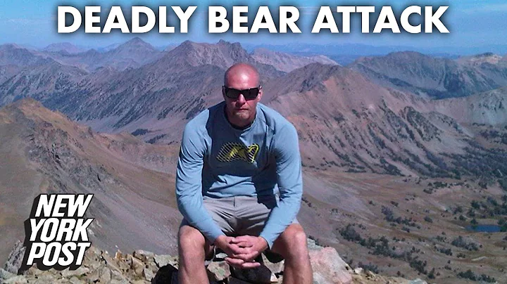Wilderness guide dies days after grizzly bear atta...