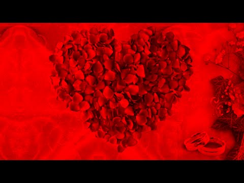 Шуточное интервью на свадьбу