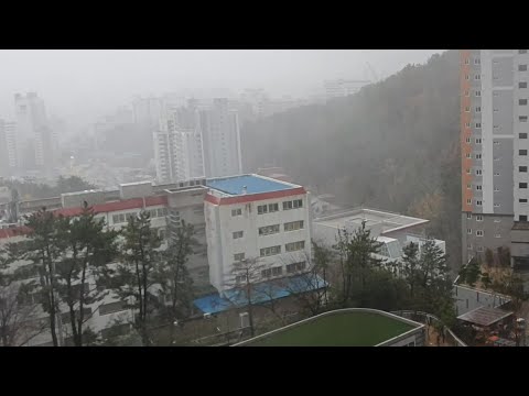 늦가을에 강풍 부산... 초속 14.5m 비바람