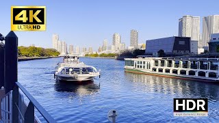 Tokyo Walk - Walking around bayside &amp; a Business district in Tokyo - 4K HDR