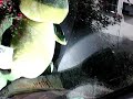 Mister Frogdriver 12