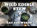 Wild Edible Stew - Eat the Weeds