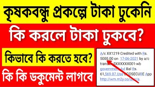 কৃষকবন্ধু প্রকল্পে টাকা ঢুকেনি, কি করলে টাকা ঢুকবে | krishak bandhu money | krishak bandhu prakalpa