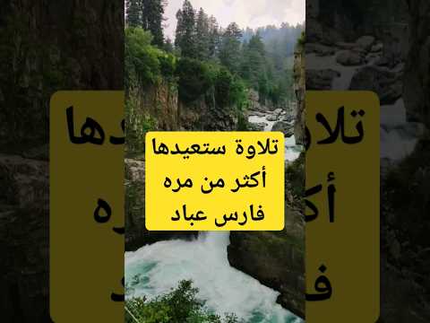 أتى أمر الله فلا تستعجلوه سبحانه وتعالى عما يشركون فارس عباد