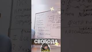 Судьба человека и спонтанность. Короткие видео