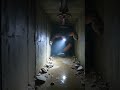 Underground Exploration Leads to Hidden Gold Treasure Discovery