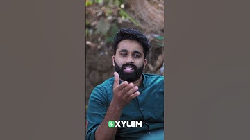 Mr. Negative | XYLEM Class 8