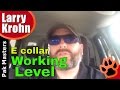 What to do when you can't find the dog's working level on the e collar / remote collar What to do when you can't find the dog's working level on the e collar / remote collar