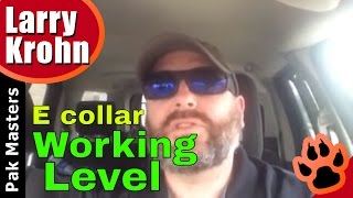 What to do when you can't find the dog's working level on the e collar / remote collar Wealth