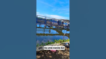 yang mau mancing ikan #shortvideo #vidiolucu #mancing