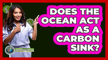 Does The Ocean Act As A Carbon Sink?