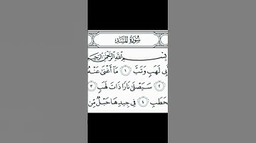 سورة المسد |  المنشاوي #ايات_القرآن_الكريم #قرآن #subscribe #قران_كريم #new_channel