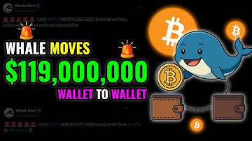 Bitcoin Whale Moves $119,000,000! WHALE ALERT