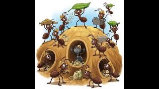 AQA A Level Pre release 2026 Ant Simulator 1