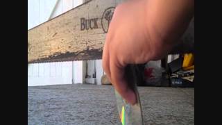 Famous DESTROYING black ops disc (call of duty) Wealth