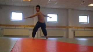 Guliano Hrustic - mini Sampler 2010 Training