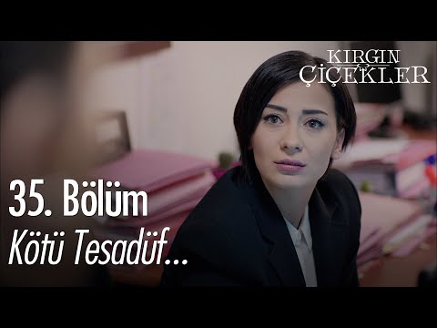 Neriman eski öğrencisiyle karşılaşıyor! - Kırgın Çiçekler 35. Bölüm