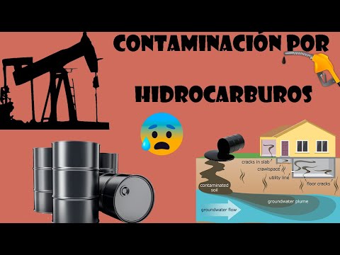 Video: ¿Por qué se promulgó la Ley de Contaminación por Hidrocarburos de 1990?