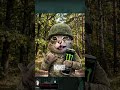 КАК LEFT 4 DEAD ПОЯВИЛАСЬ ИЗ COUNTER-STRIKE #steam #gaming #games #игры #рофл