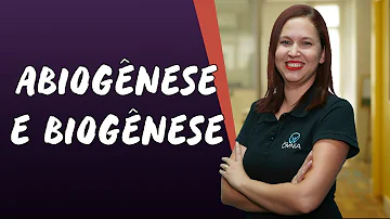Qual é a diferença de Biogenese e abiogênese?
