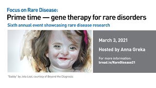 Focus on Rare Disease: Prime time – gene therapy for rare disorders